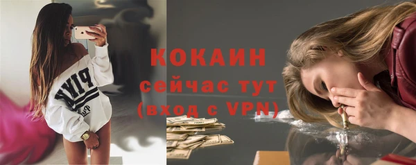 мяу мяу мука Арсеньев