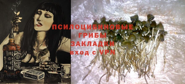 мяу мяу мука Арсеньев