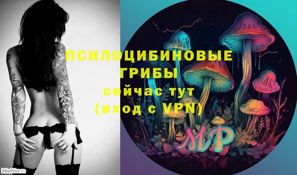 мяу мяу мука Арсеньев