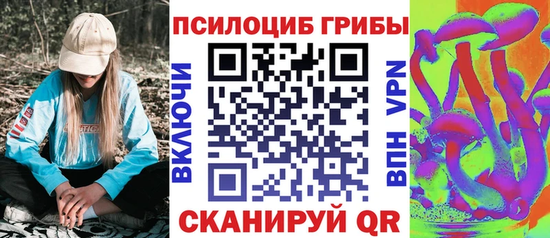 дарнет шоп блэк спрут вход Псилоцибиновые грибы мухоморы Коряжма