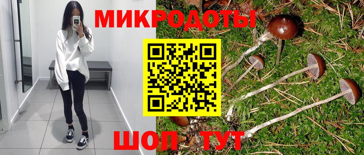 Коряжма  Псилоцибиновые грибы MAGIC MUSHROOMS  Вход с VPN 