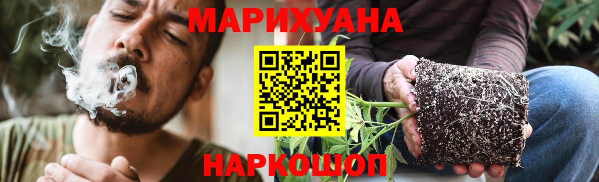 Конопля индика Коряжма